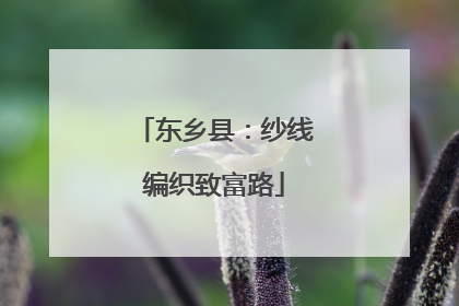 东乡县：纱线编织致富路